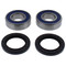 All Balls Wheel Bearing Kit 25-1757 for Ducati Multistrada 1200 Enduro 16