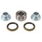 All Balls Rear Shock Bearing Kit 29-5079 for Beta Rev 250 4T 08