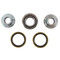 All Balls Rear Shock Bearing Kit 29-5079 for Beta Rev 250 4T 08