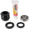 Pivot Works Steering Stem Bearing Kit PWSSK-H22-000 for Honda TRX 300 Fourtrax