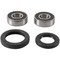 Pivot Works Wheel Bearing Kit PWFWS-K01-000 for Kawasaki EL 250 Eliminator 87-94