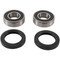 Pivot Works Wheel Bearing Kit PWFWS-K05-000 for Kawasaki EN 650 A Vulcan S 2015-2017