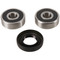 Pivot Works Wheel Bearing Kit PWFWK-Y18-001 for Yamaha TT125 2000