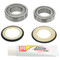 Pivot Works Steering Stem Bearing Kit PWSSK-H03-021 for Honda CR 125 R 1995-1997