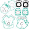 Complete Gasket Kit Without Seals 808986