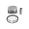 Vertex Cast Replica Piston Kit 24356100 for Polaris ATP 500 4x4 04