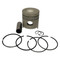 Piston Kit for Ford New Holland