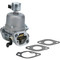 Carburetor for Briggs & Stratton 401577, 403677, 404577, 4045A7 699807 520-100