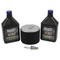 Stens Engine Maintenance Kit For Honda GX240-GX390, 785-656