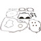 Complete Gasket Kit With Seals; 8110061