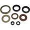 Oil Seal Kit For Arctic Cat 366 FIS Auto 2008-2010, 366 FIS Auto SE 2011; 822402