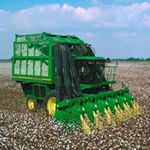 Cotton Pickers