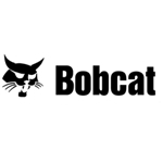 Bobcat