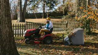 Lawn mowing in autumn