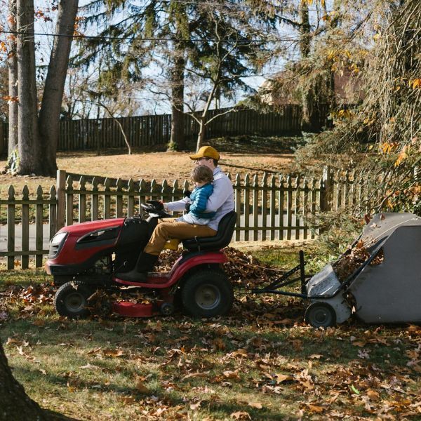 Autumn lawn mowing