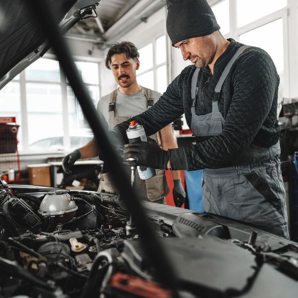Two car mechanics working