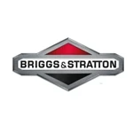Briggs Engines