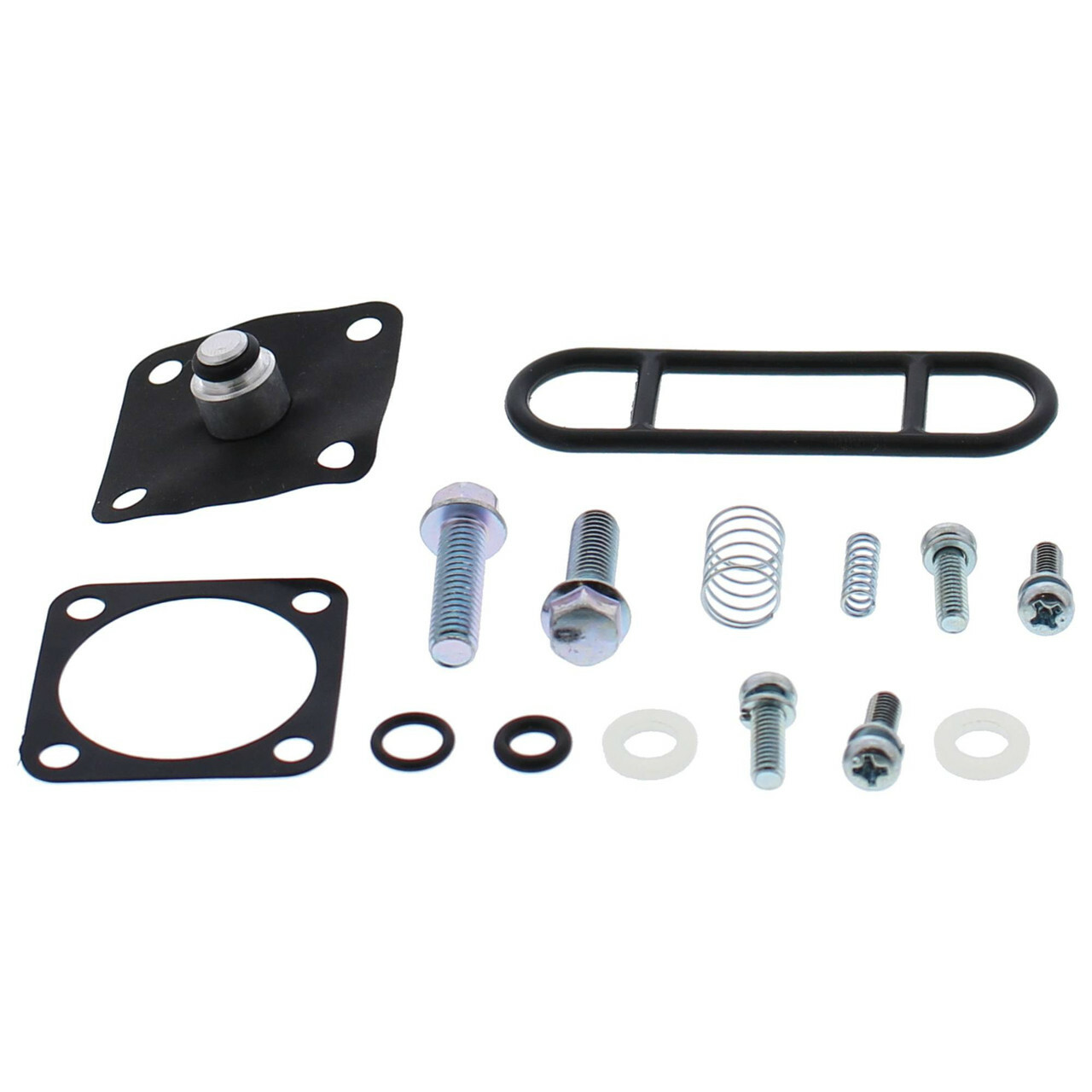 Diaphragm Kit