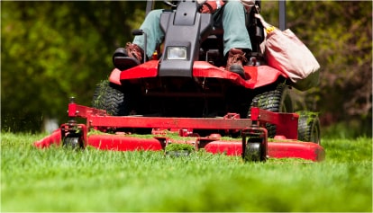 Lawn & Garden