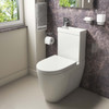  Iconic Combi 2-in-1 WC and Basin