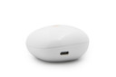 Bluetooth Oordopjes | Wit