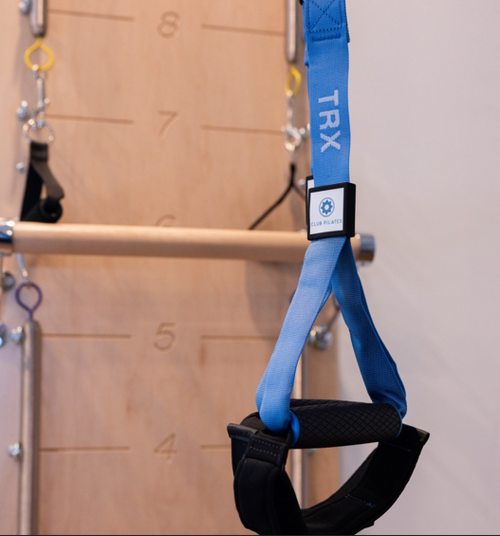 CP TRX C4 Suspension Trainer - Blue