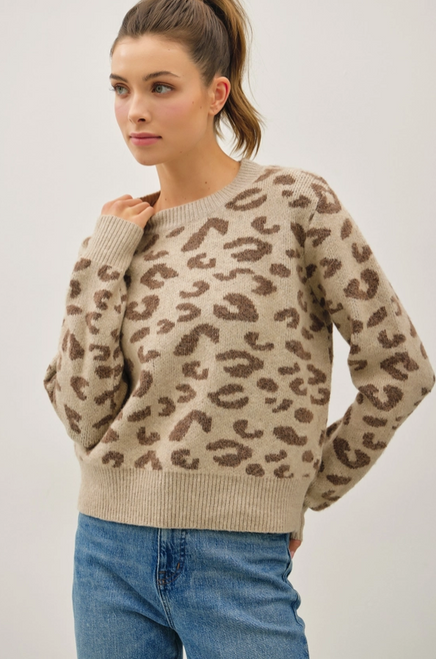 65064 TAUPE