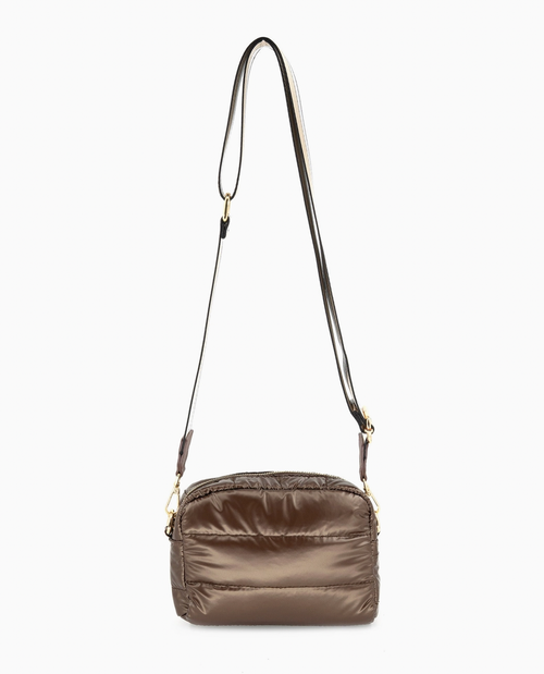 2554 BROWN