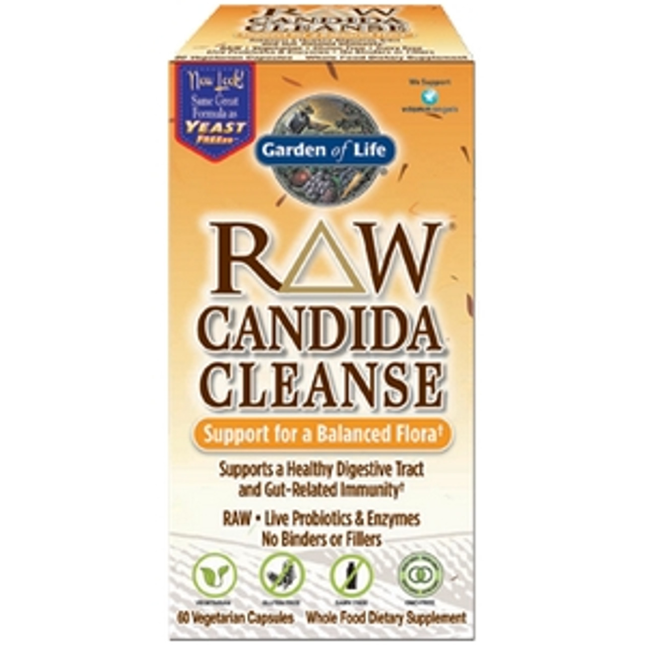 candida detox