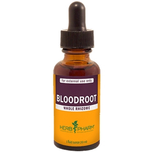 Bloodroot 1 oz by Herb Pharm