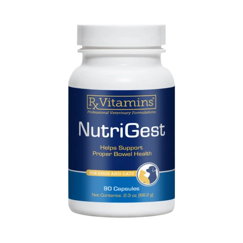 NutriGest for Dogs & Cats 90c by Rx Vitamins for Pets