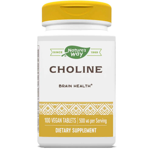 Choline - 100 tabs / 500 mg by Nature's Way