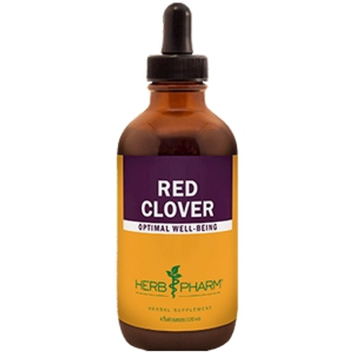 Red Clover/Trifolium pratense - 4 oz by Herb Pharm