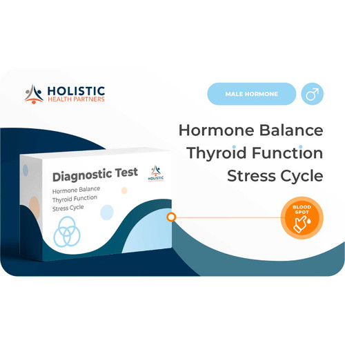 Male Hormone Balance + Thyroid + Stress Cycle Diagnostic Test by Holistic Health Partners