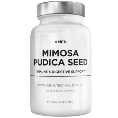 Organic Mimosa Pudica Seed by Amen