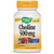 Choline - 100 tabs / 500 mg by Nature's Way
