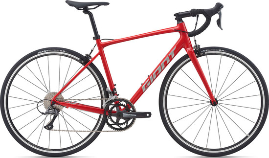 Giant Contend 2 | Kearney Cycles