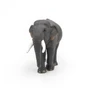 Papo Toys Asian Elephant 