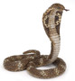  Papo Toys King Cobra 