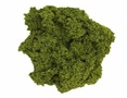  Javis No.1 Hedge Foliage Light Green 
