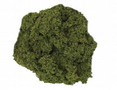  Javis No.2 Tree Foliage Medium Green 