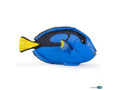  Papo Toys Surgeonfish 