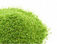  Javis Scatter No.10 Light Meadow Green 