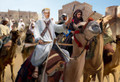 Strelets 1/72 Arab Uprising Arab Camel Riders 