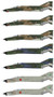  Academy 1/32 McDonnell Douglas F-4E Phantom USAF Vietnam War 