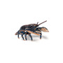  Papo Toys Lobster 