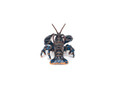  Papo Toys Lobster 