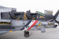 AMK 1/48 F-14D Super Tomcat Super Detail Model Kit   AMK 1/48 F-14D Super Tomcat Super Detail Model Kit