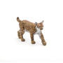  Papo Toys Lynx 
