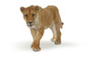  Papo Toys Lioness 